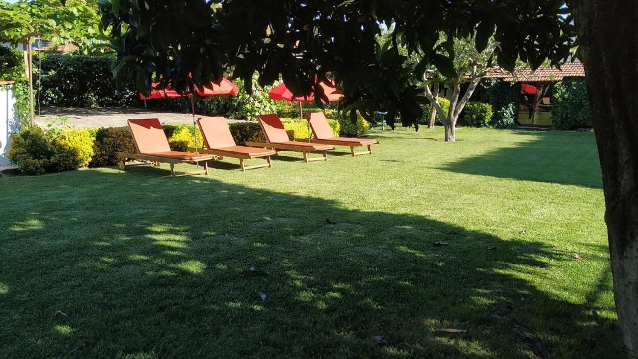 Casa De Marlaes Villa Lousada Exterior photo