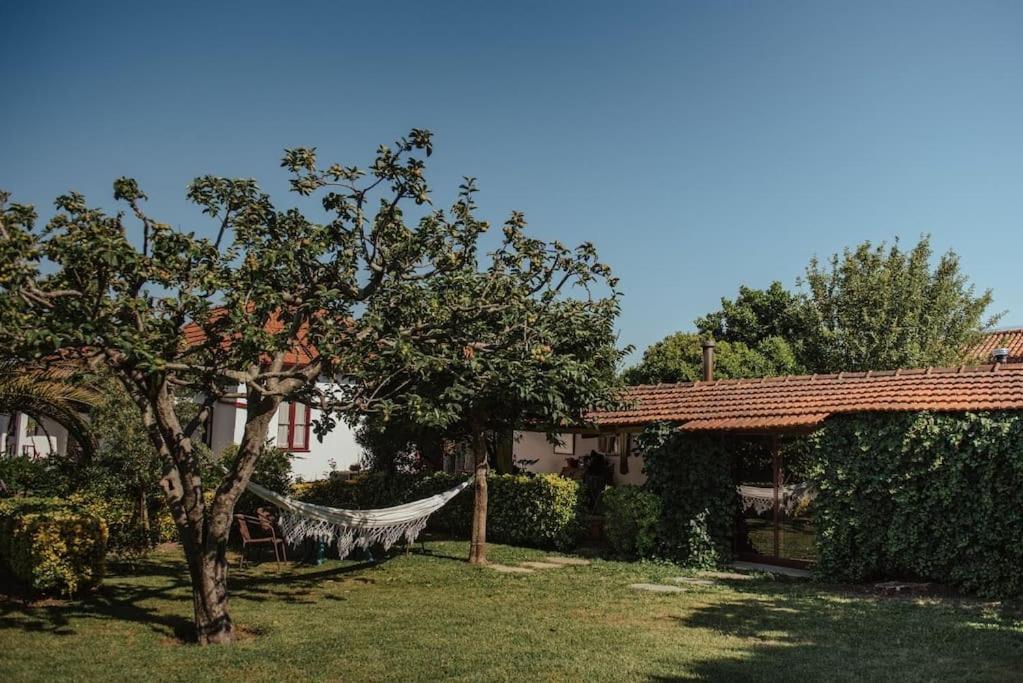 Casa De Marlaes Villa Lousada Exterior photo